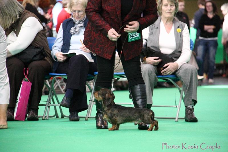 Crufts2011_2 825.jpg